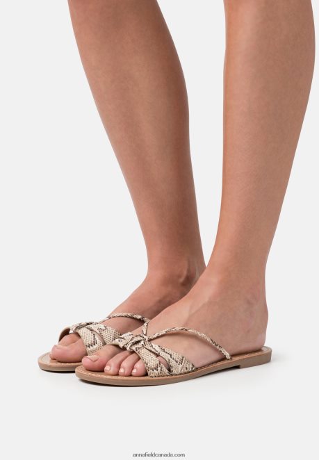 Anna Field Women Mules Brown H42J4Z1882