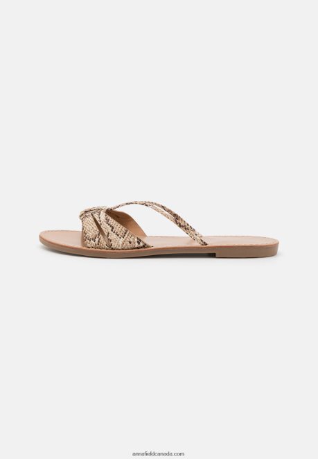 Anna Field Women Mules Brown H42J4Z1882
