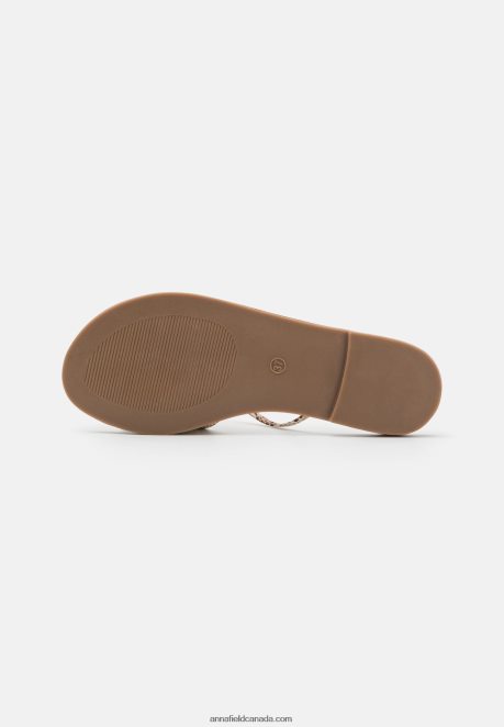 Anna Field Women Mules Brown H42J4Z1882