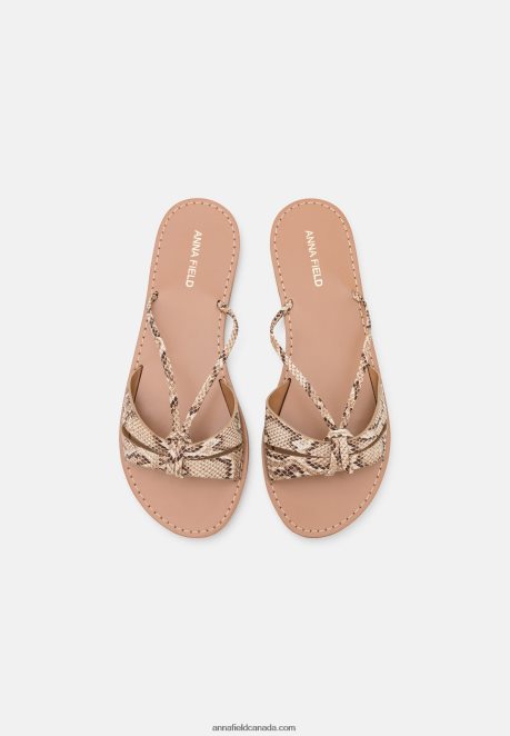 Anna Field Women Mules Brown H42J4Z1882