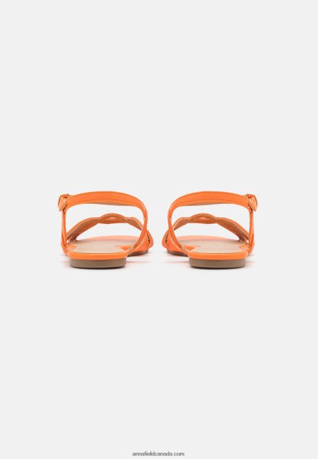 Anna Field Women Sandals Orange H42J4Z1317