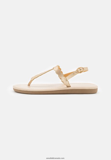 Anna Field Women T-Bar Sandals Gold H42J4Z1518