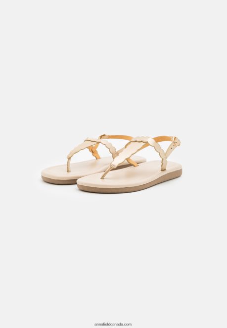 Anna Field Women T-Bar Sandals Gold H42J4Z1518