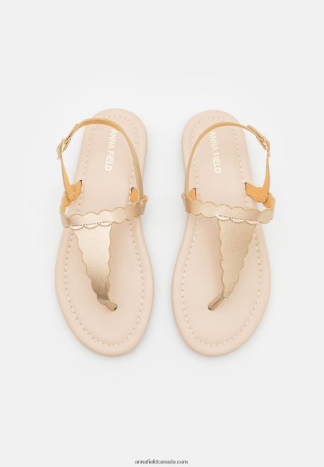 Anna Field Women T-Bar Sandals Gold H42J4Z1518