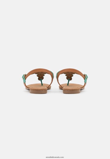 Anna Field Women T-Bar Sandals Turquoise H42J4Z1502